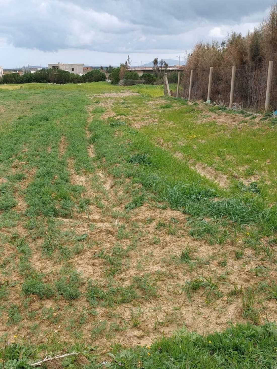 Terreno a Rtiba Bir el Jedy