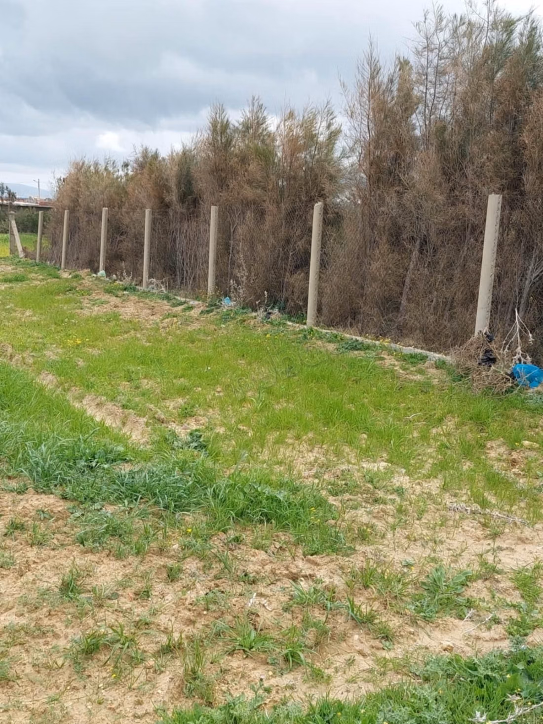Terreno a Rtiba Bir el Jedy