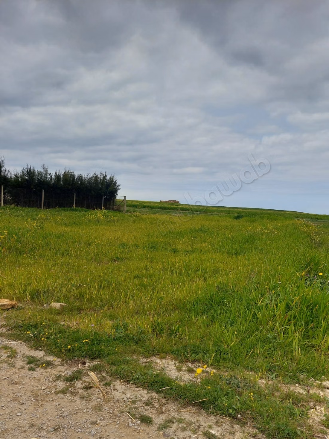 Terreno a Rtiba Bir el Jedy