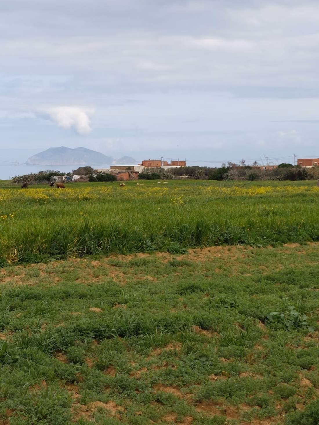 Terreno a Rtiba Bir el Jedy