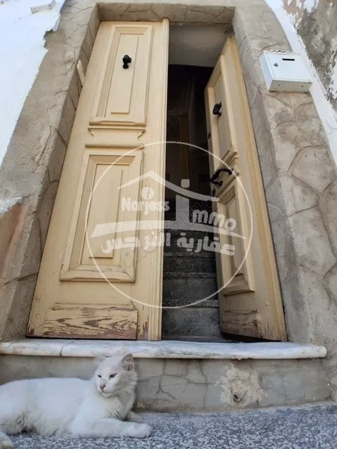 Charming traditional Arabic house