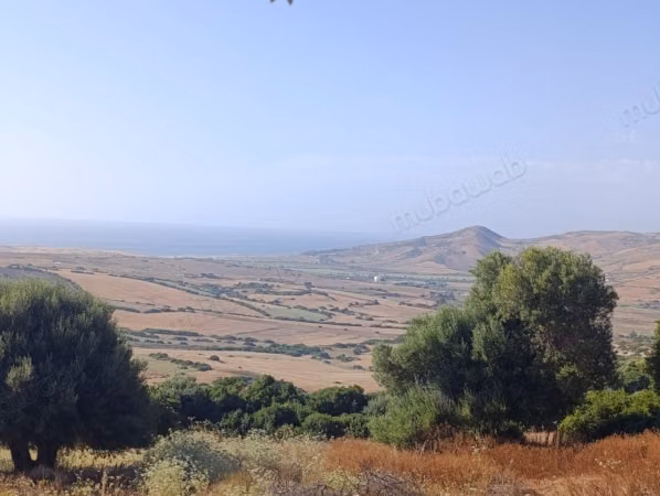 Bonne occasion terrain