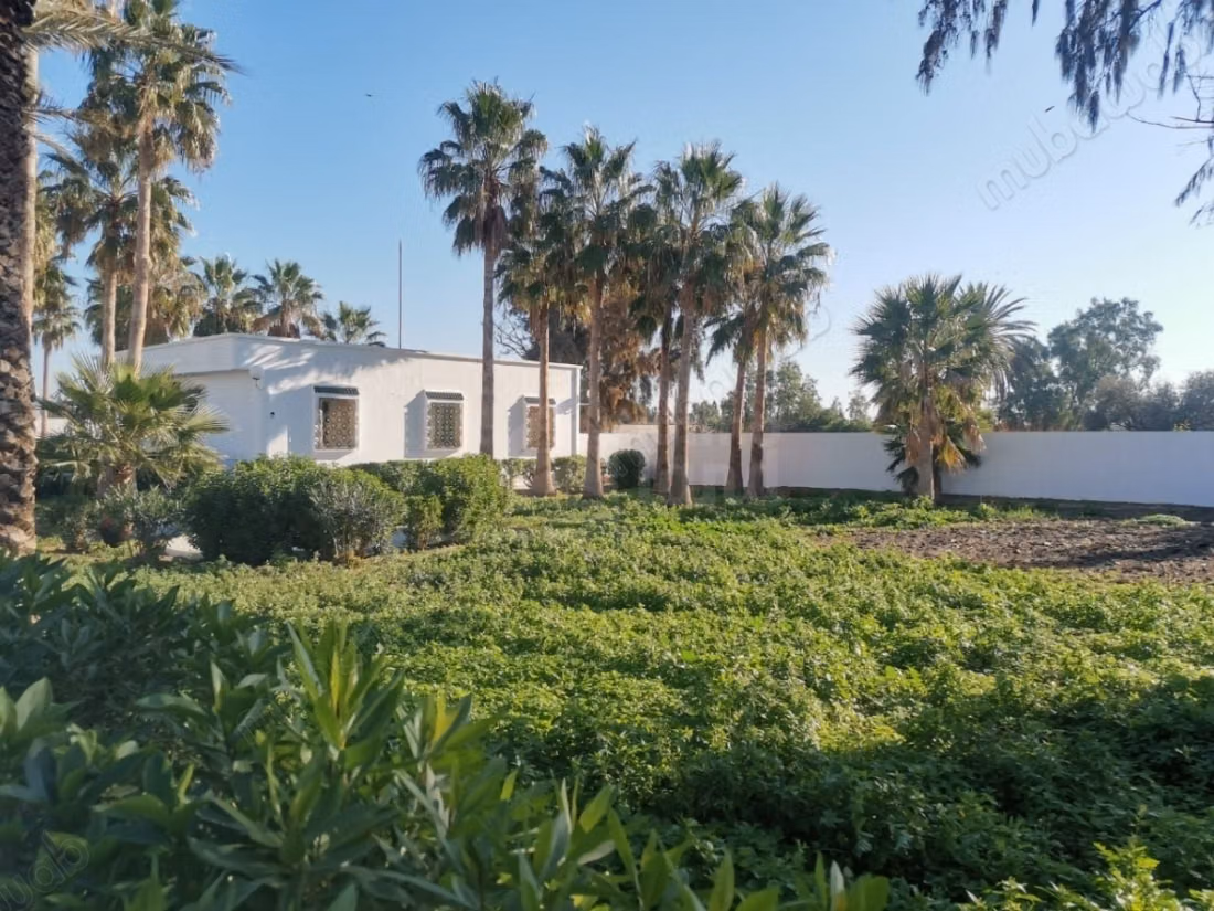 Villa S5 on 3000m² land and 300m² built in Ariana Soghra