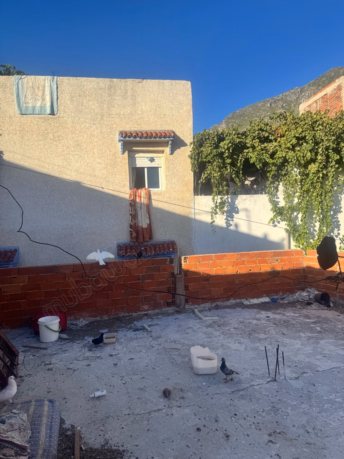 Buying a Unique House in Chefchaouen. 6 Rooms. Overlooking the Mountains