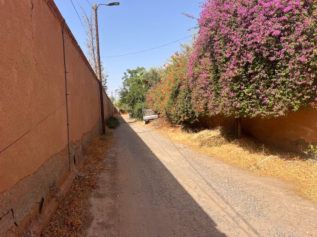 Luxury house for rent in Ennakhil Palmeraie. 4 comfortable rooms. Garden and terrace