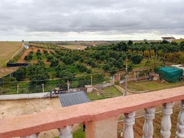 Granja en venta en Sidi Allal El Bahraoui. Superficie 17000 m²