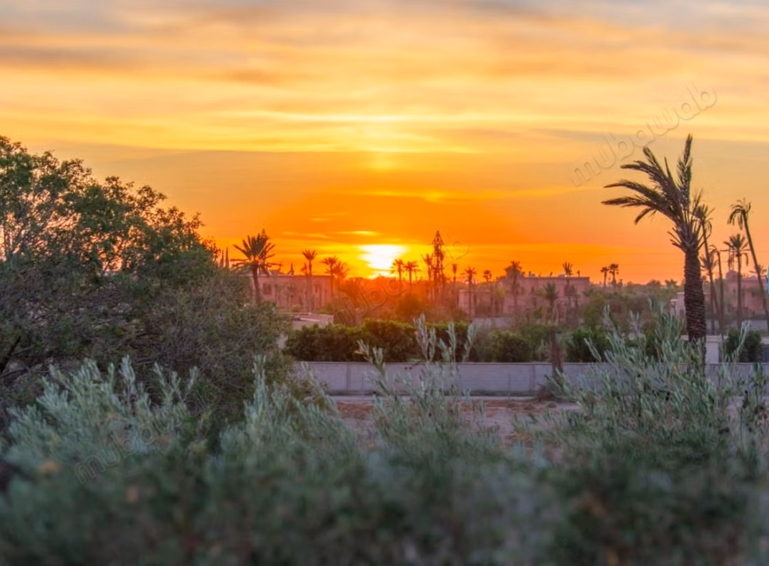 Magnifica Villa Contemporanea in vendita nella Palmeraie Bab Atlas – Marrakech Villa