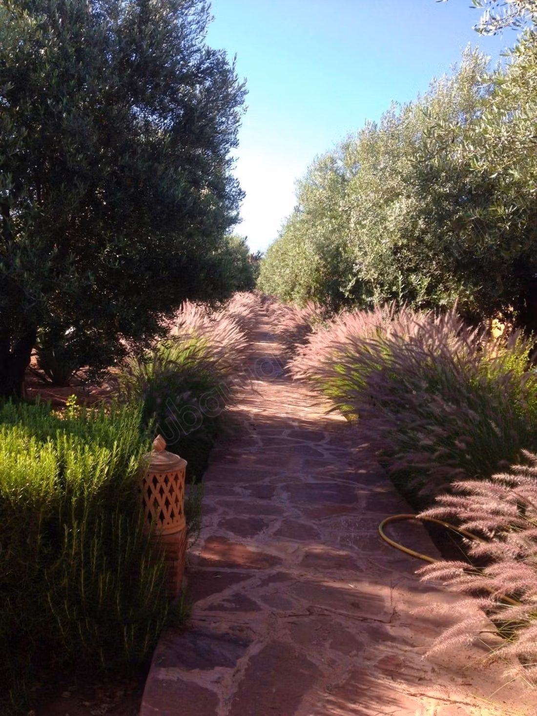 Luxury ferme route de l ourika