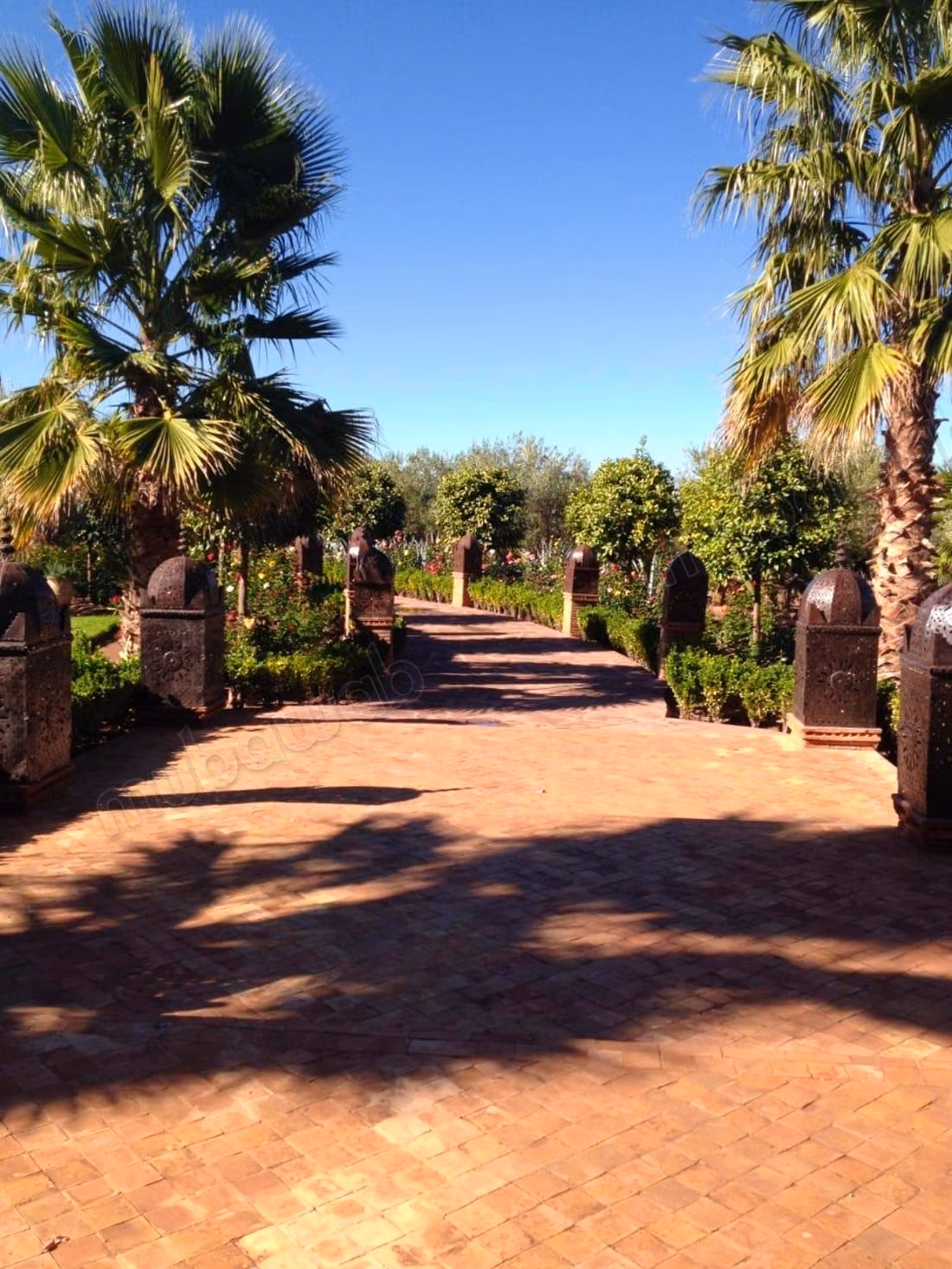 Luxury ferme route de l ourika