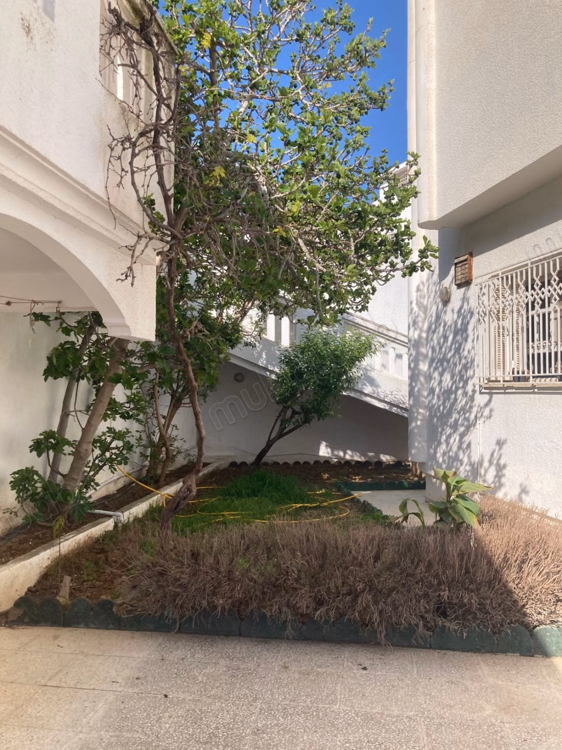Villa in vendita a El Menzah 9. 10 camere e uno studio. Terrazze e giardino.
