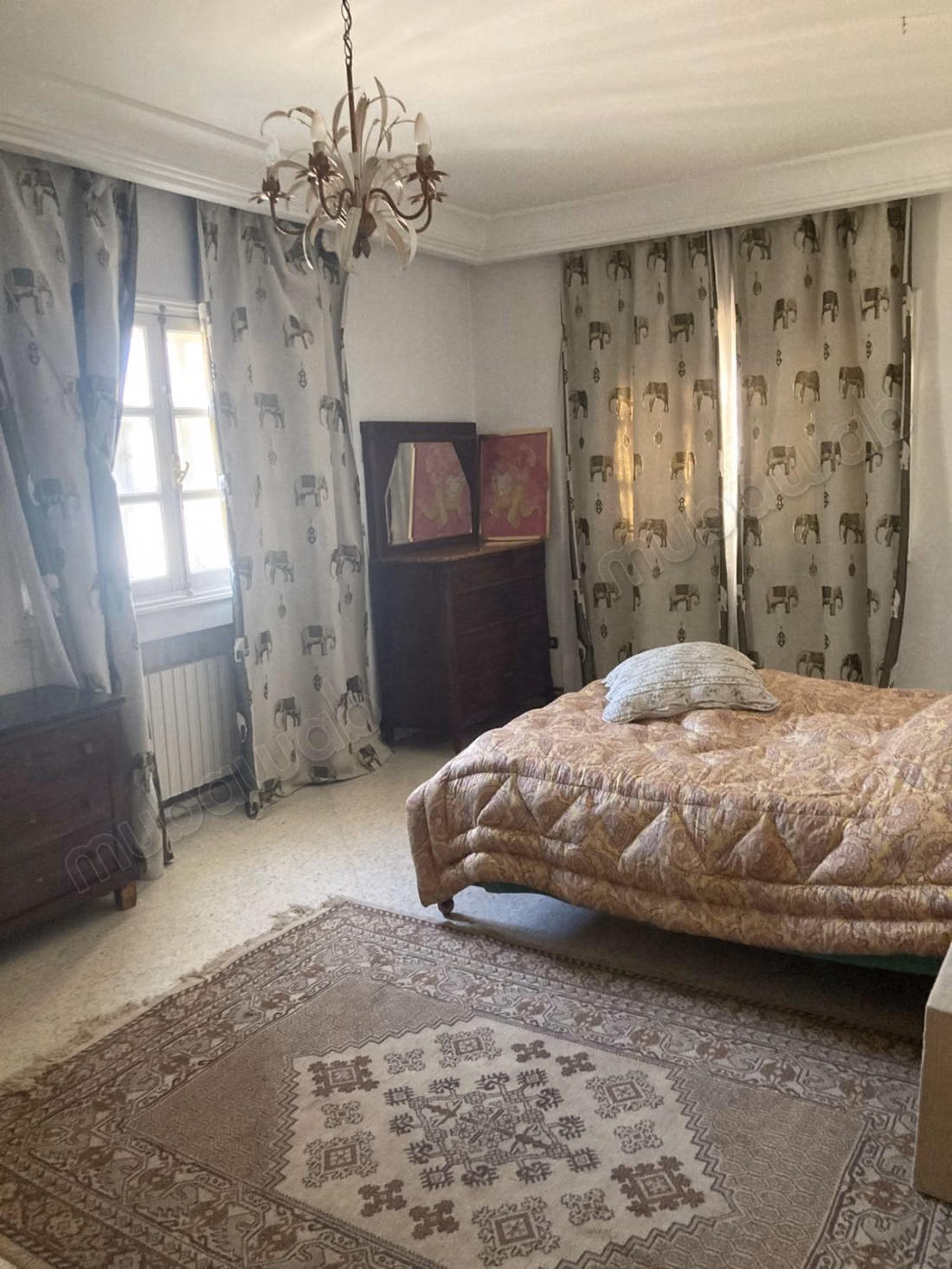 Villa in vendita a El Menzah 9. 10 camere e uno studio. Terrazze e giardino.