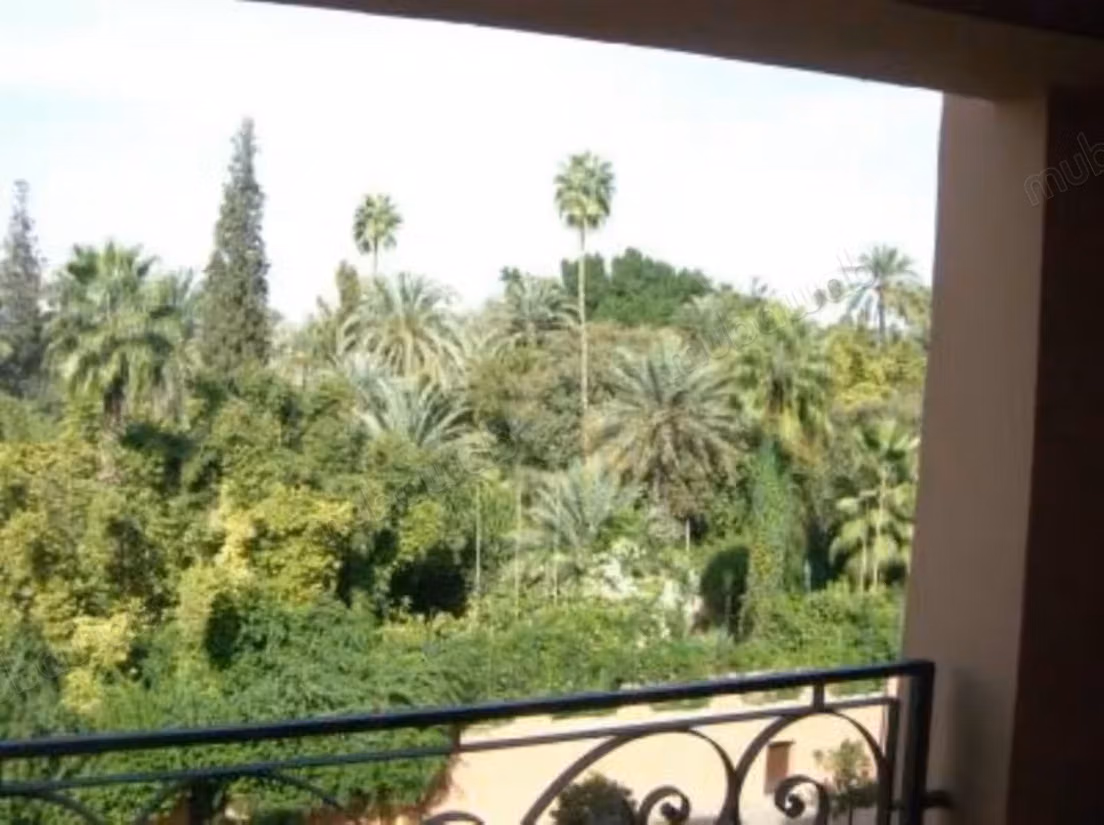 Beautiful studio for rent in front of Majorelle