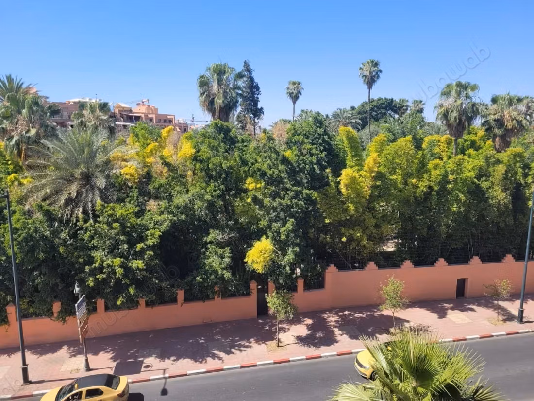 Beautiful studio for rent in front of Majorelle