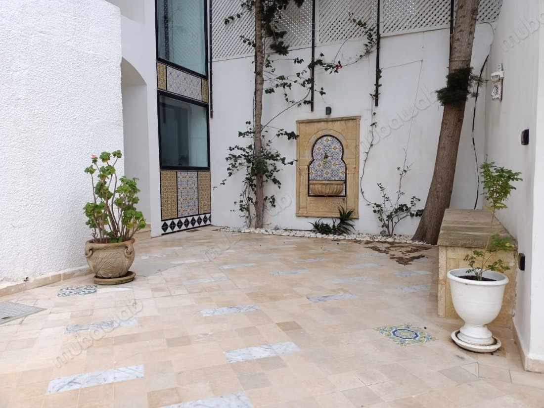 A luxurious apartment in Sidi Bousaid