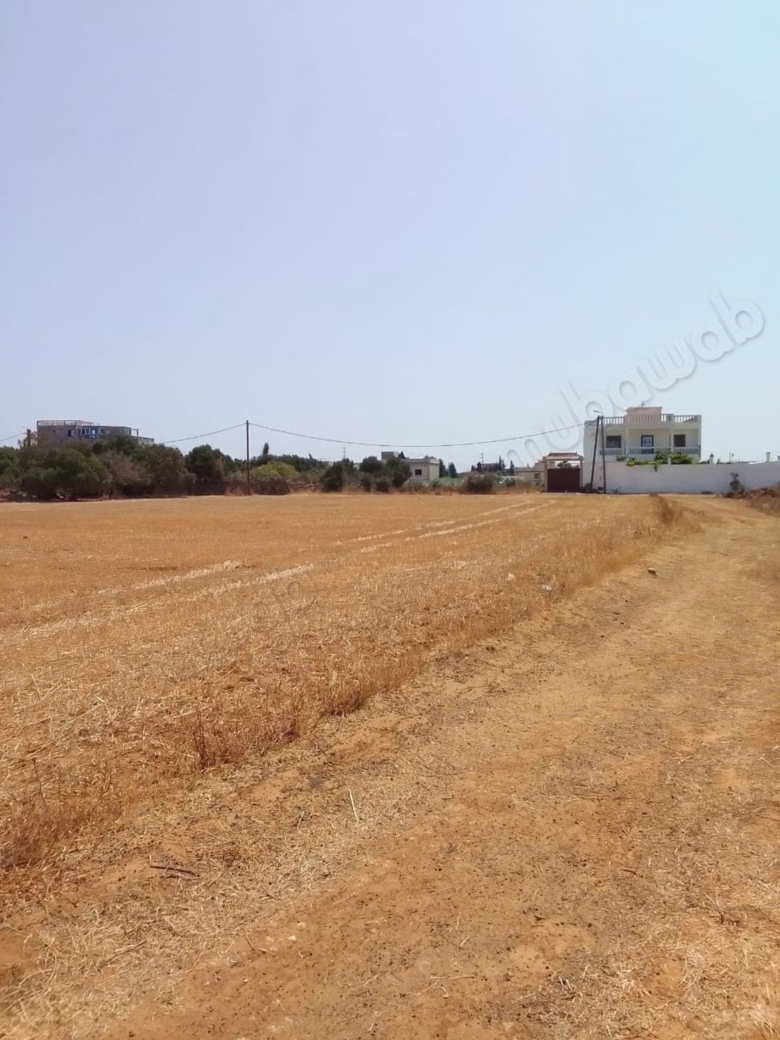 Vente de terrain à briech 
5 km à Asilah.
Surface totale 500 m²