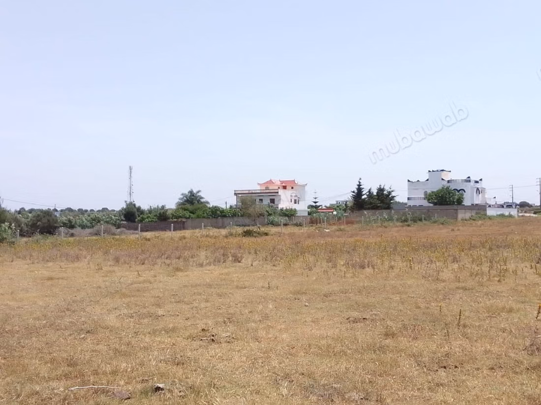 Vente de terrain à briech 
5 km à Asilah.
Surface totale 500 m²