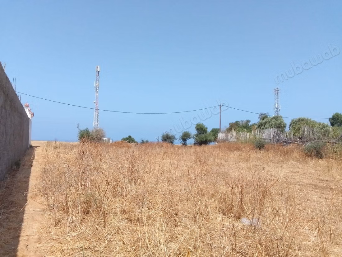 Vente de terrain à briech 
5 km à Asilah.
Surface totale 500 m²