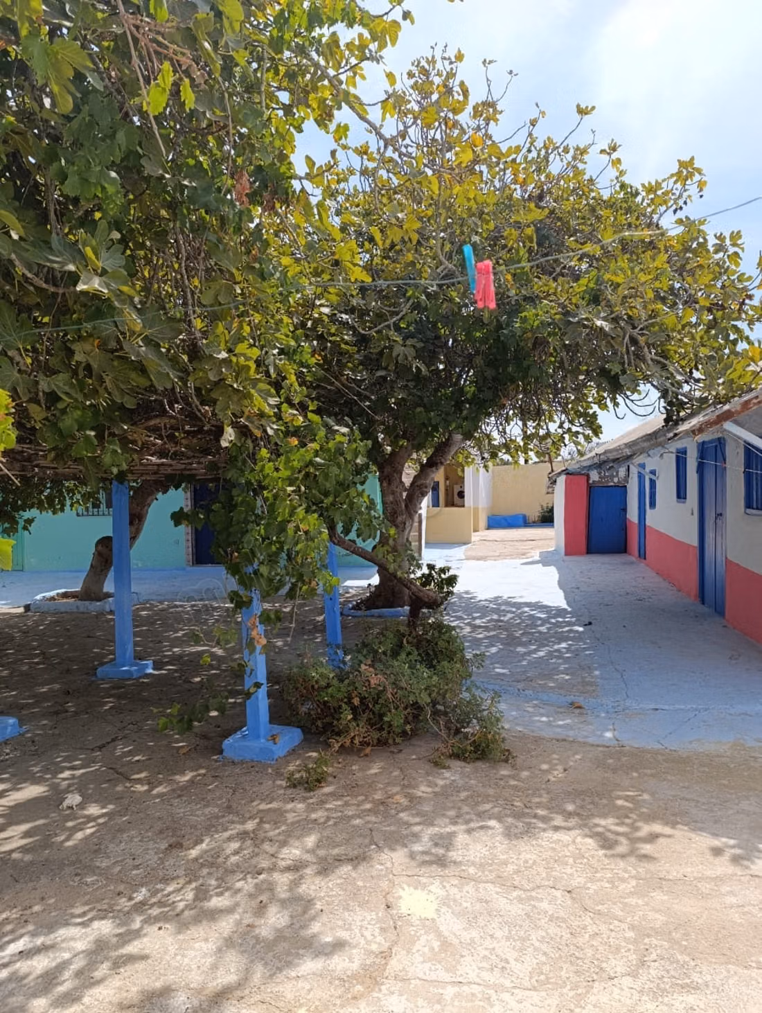 Vente de terrain à briech 
5 km à Asilah.
Surface totale 500 m²