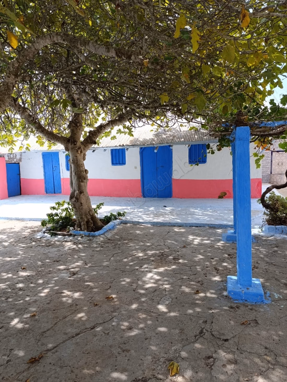 Vente de terrain à briech 
5 km à Asilah.
Surface totale 500 m²