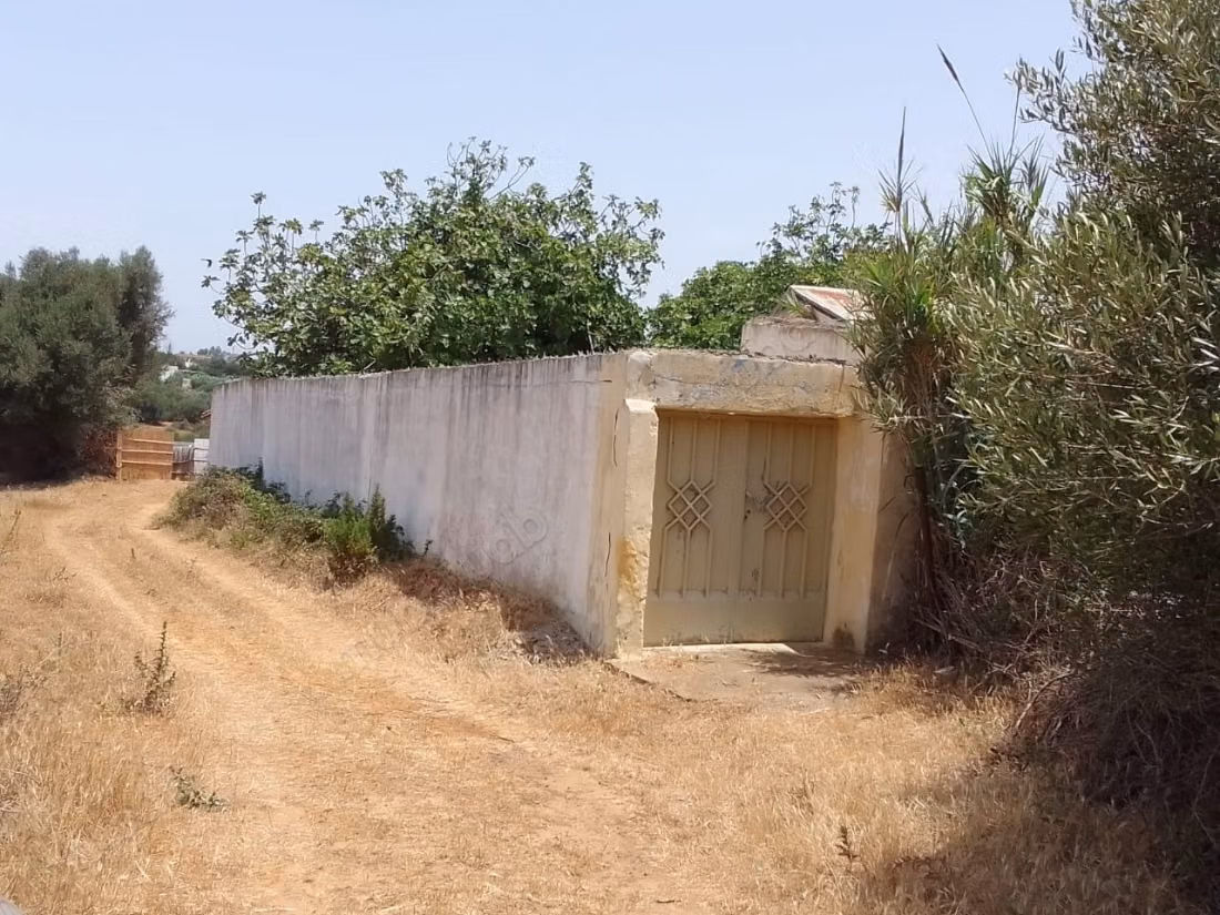 Vente de terrain à briech 
5 km à Asilah.
Surface totale 500 m²