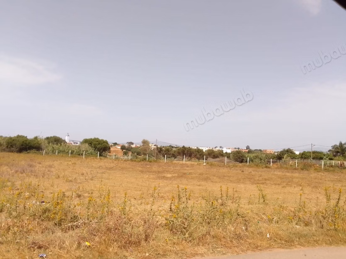 Vente de terrain à briech 
5 km à Asilah.
Surface totale 500 m²