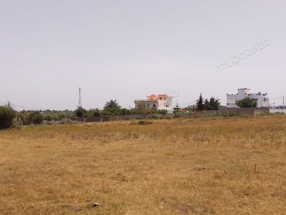 Vente de terrain à briech 
5 km à Asilah.
Surface totale 500 m²