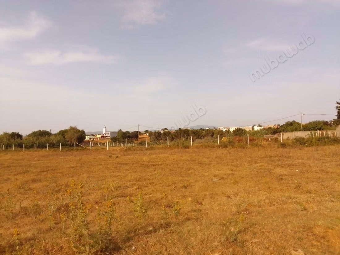 Vente de terrain à briech 
5 km à Asilah.
Surface totale 500 m²