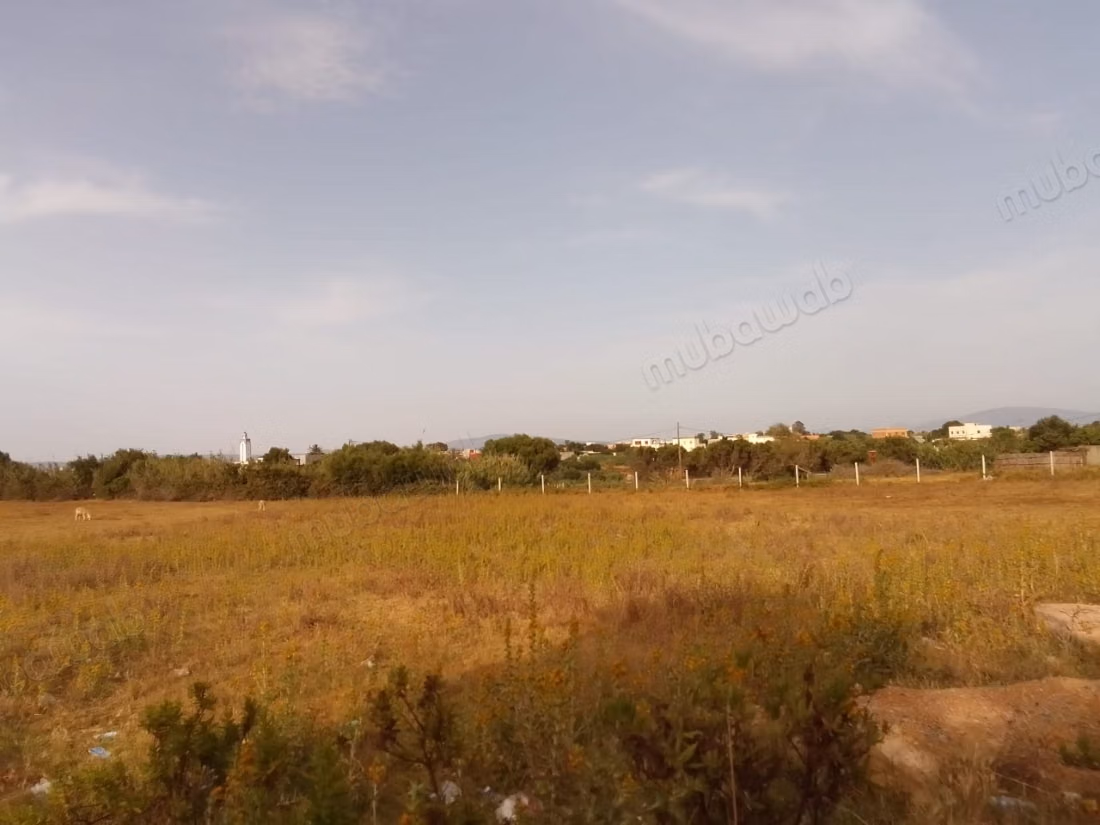 Vente de terrain à briech 
5 km à Asilah.
Surface totale 500 m²