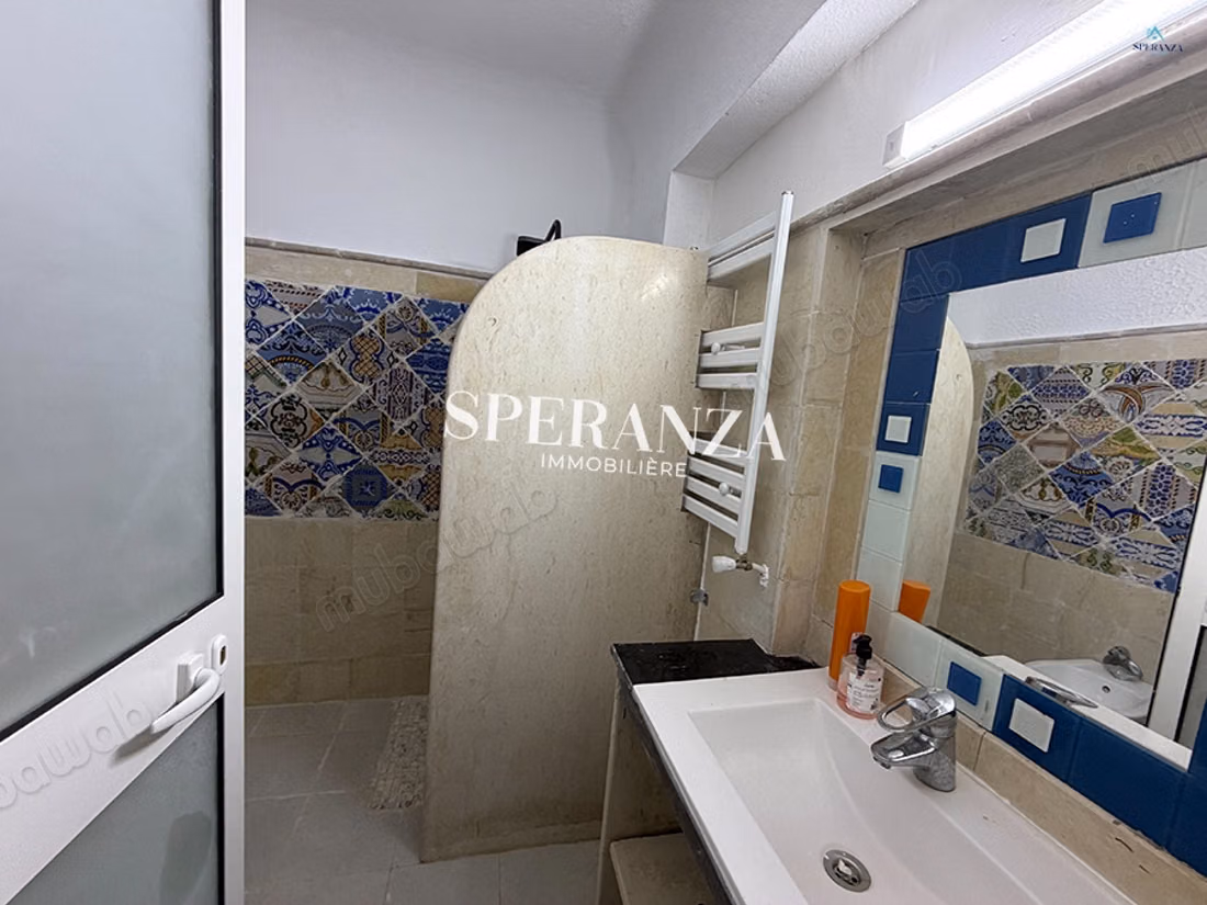 Apartment Rental Carine S3