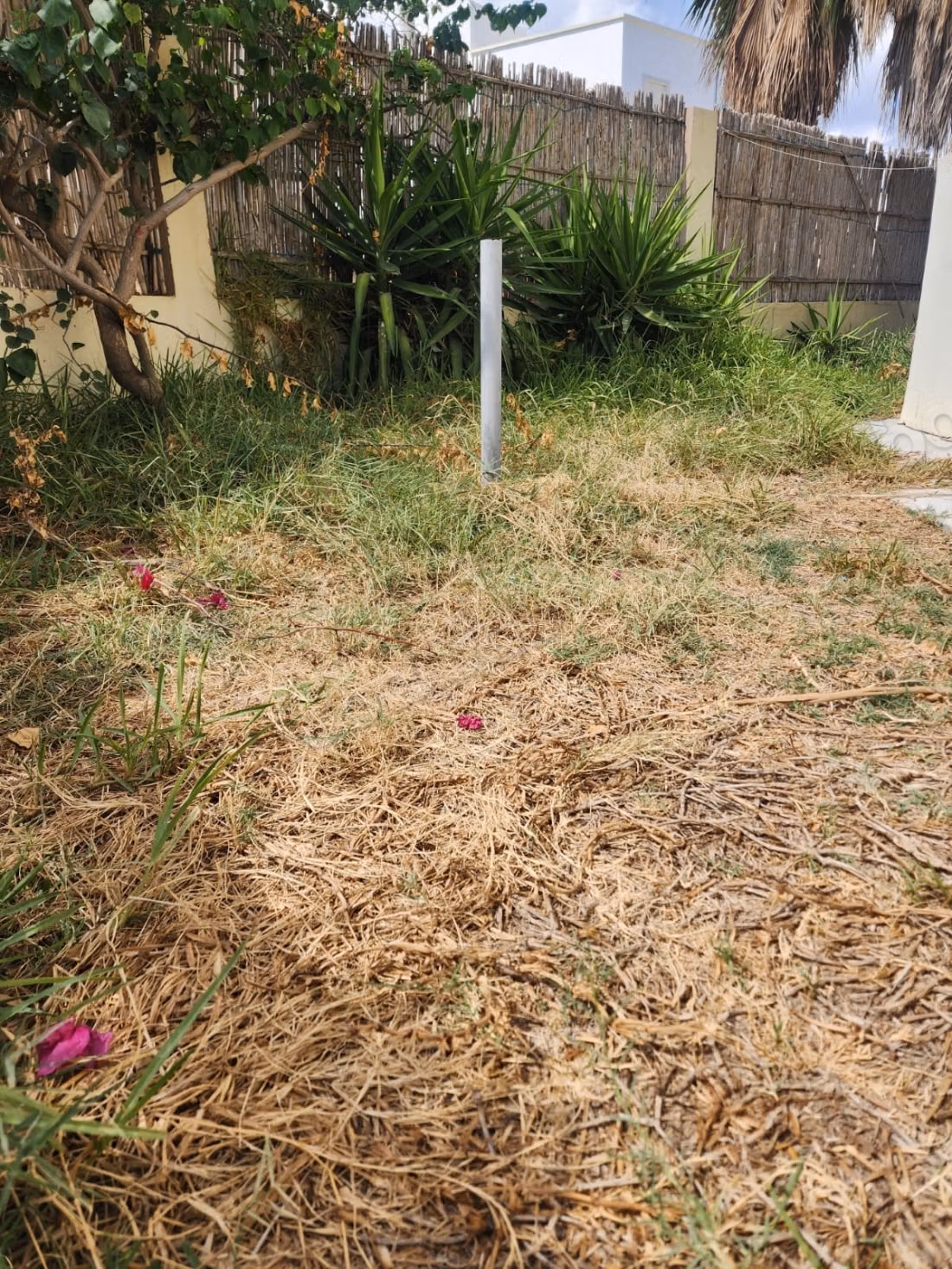 A louer s3 avec jardin au jardin carthage