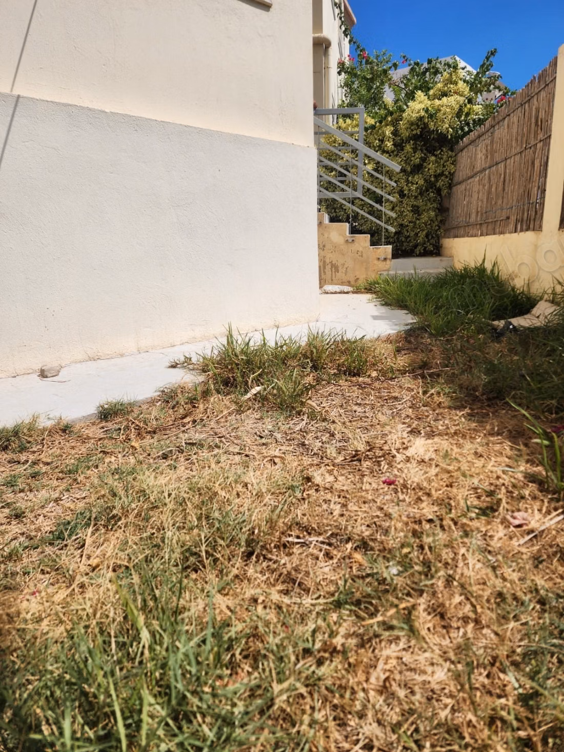 A louer s3 avec jardin au jardin carthage