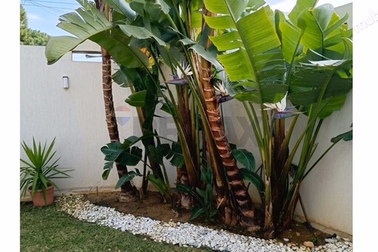 Villa d'Eccellenza – Marsa Nessim, La Marsa