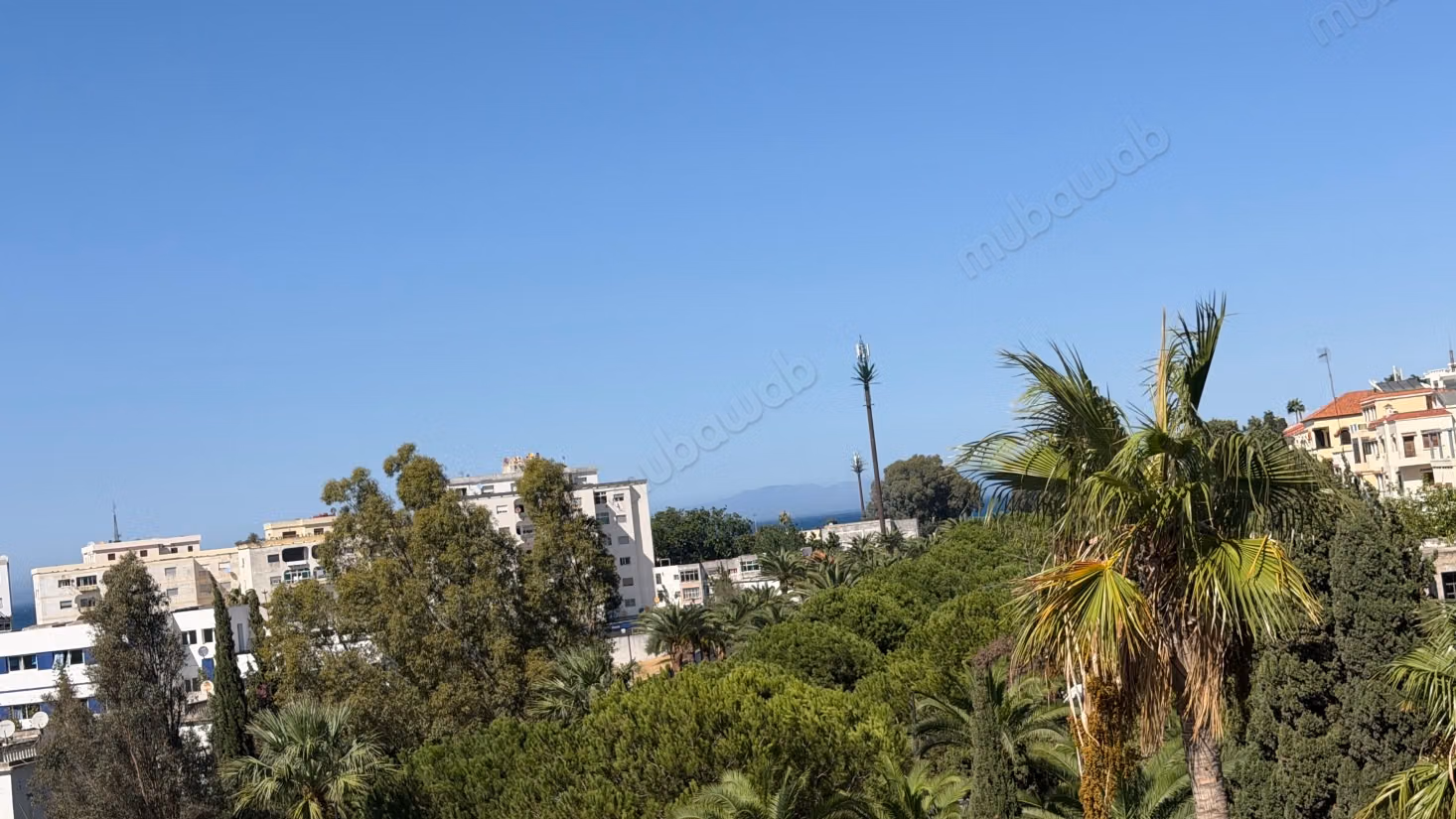 FOR RENT: Stunning sunny apartment with pool