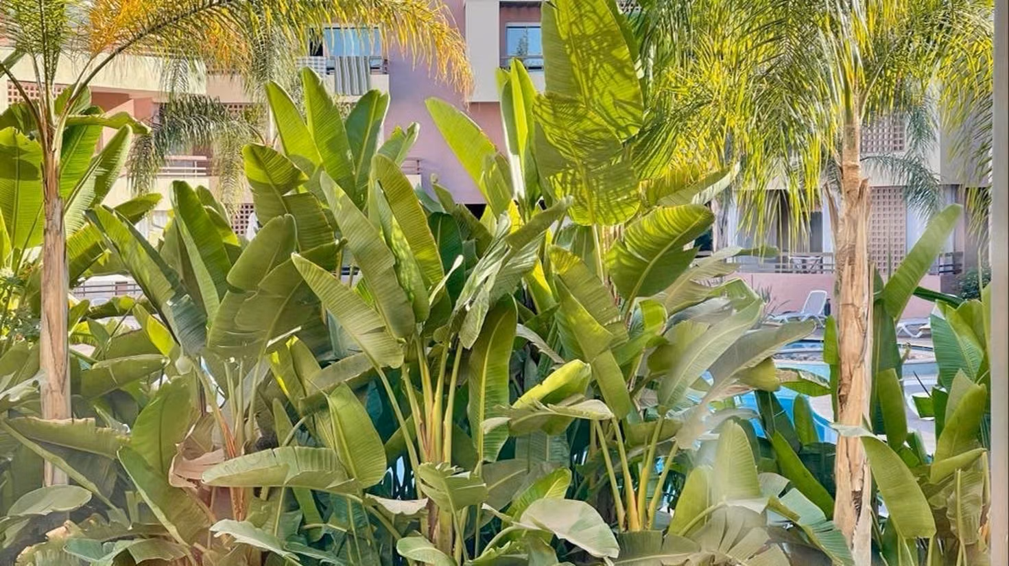 Vente d'un bel appartement à Agdal. 2 chambres. Meublé — 3