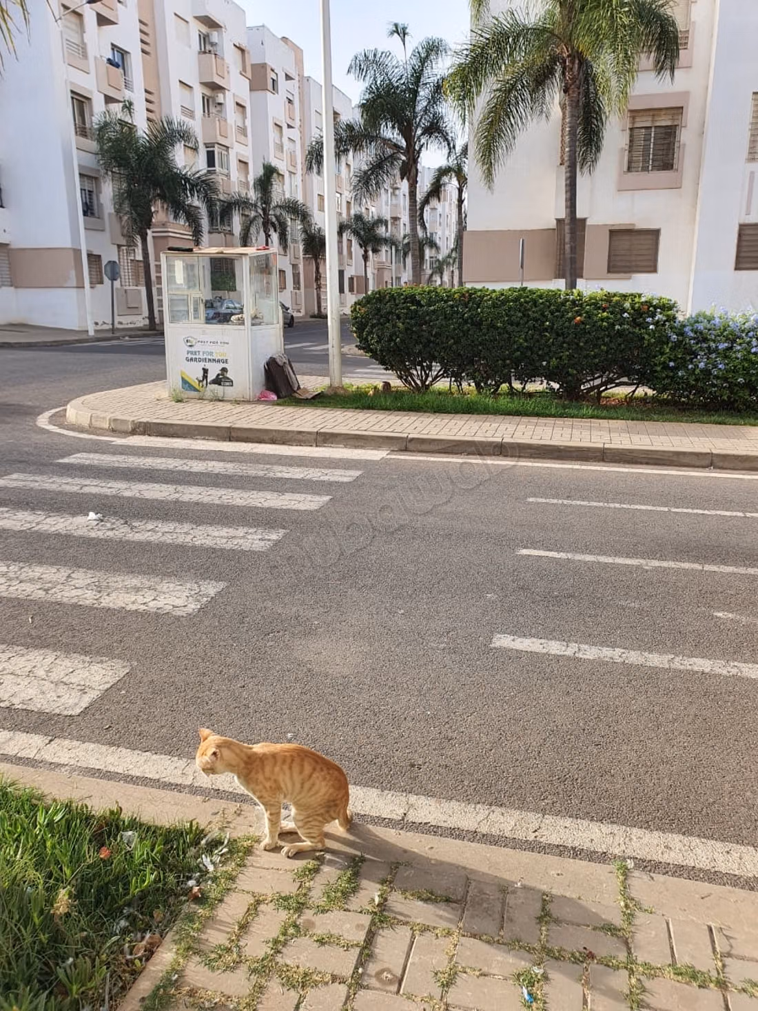 Neuf appartement meublé à louer à Sidi Rahal