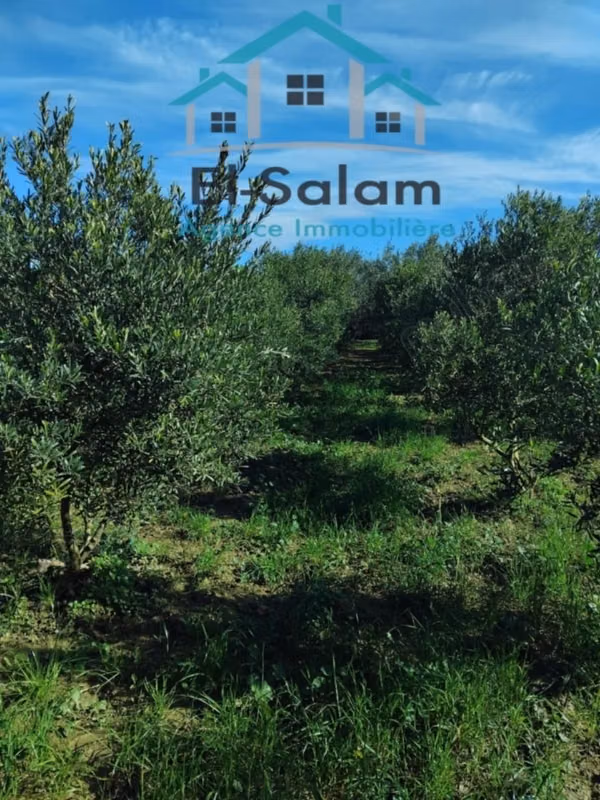 2500m² in vendita a Kelibia