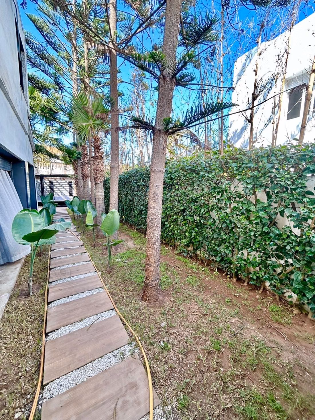 Stupenda villa in affitto a Ain Diab. Superficie 550 m². Arredata