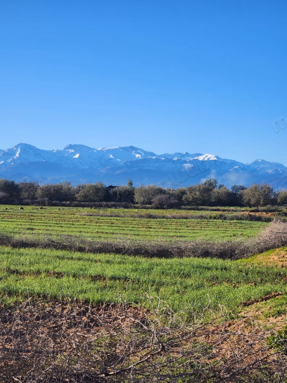 Vlak 5.000 m² Perceel met Atlas Uitzicht - Marrakech