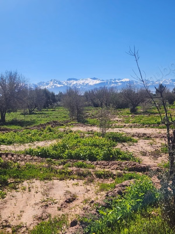 Vlak 5.000 m² Perceel met Atlas Uitzicht - Marrakech