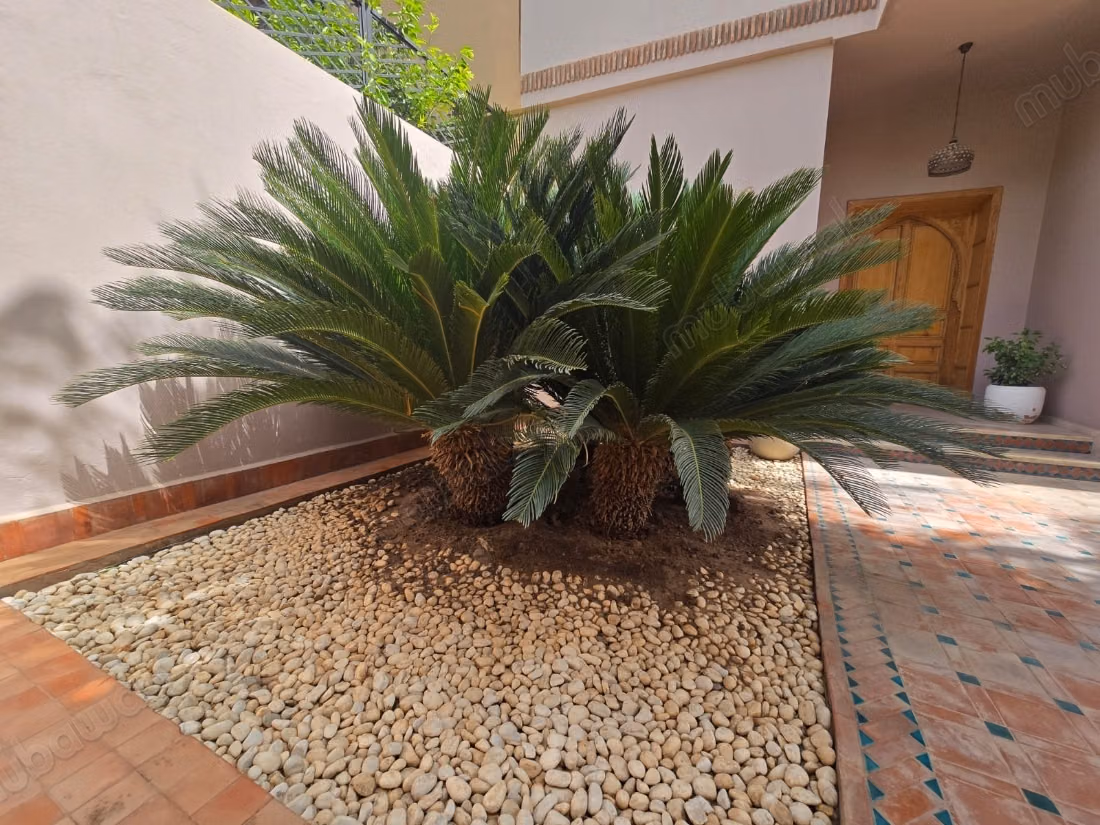 Villa agdal marrakech