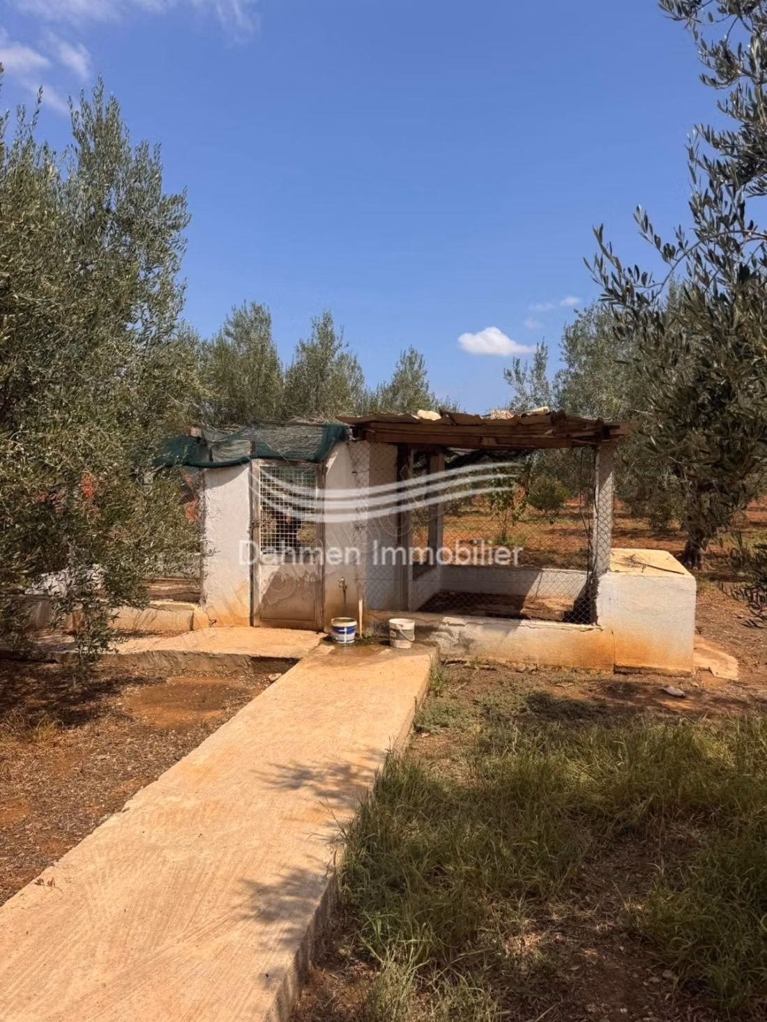 À vendre senia agricole à route kondar