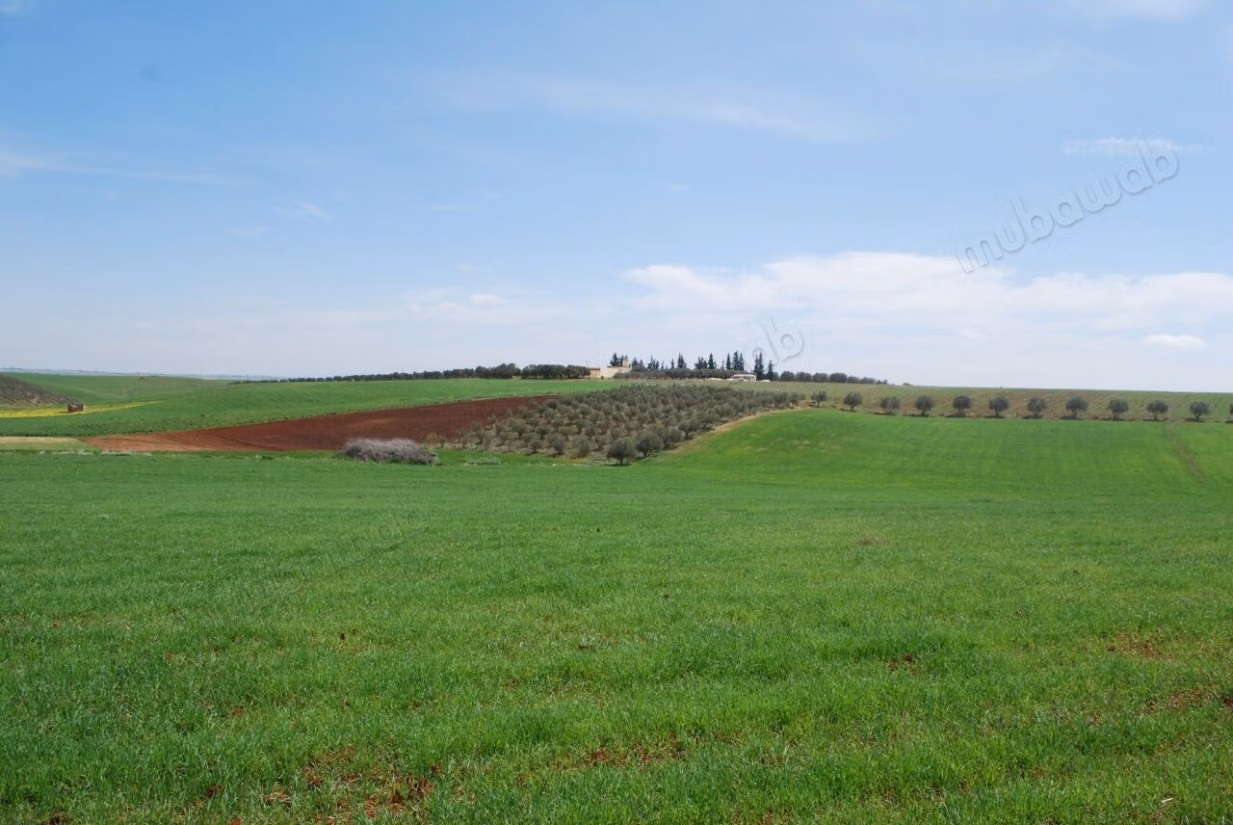 Terrain à vendre. Superficie 57250 m²