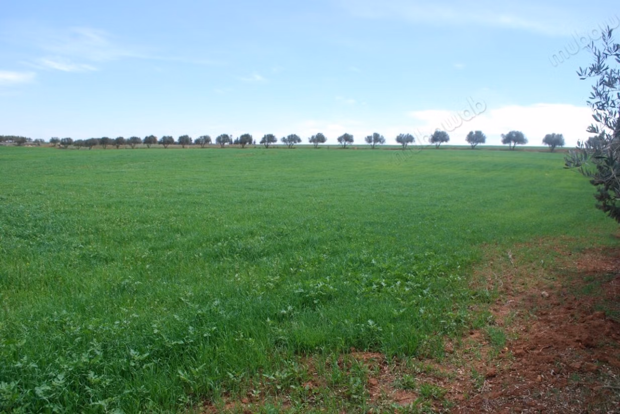 Terrain à vendre. Superficie 57250 m²