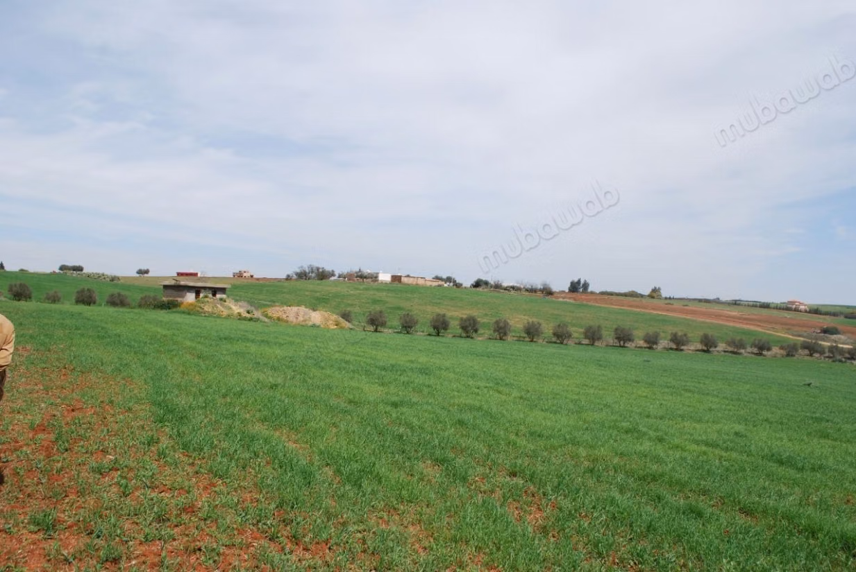 Terrain à vendre. Superficie 57250 m²