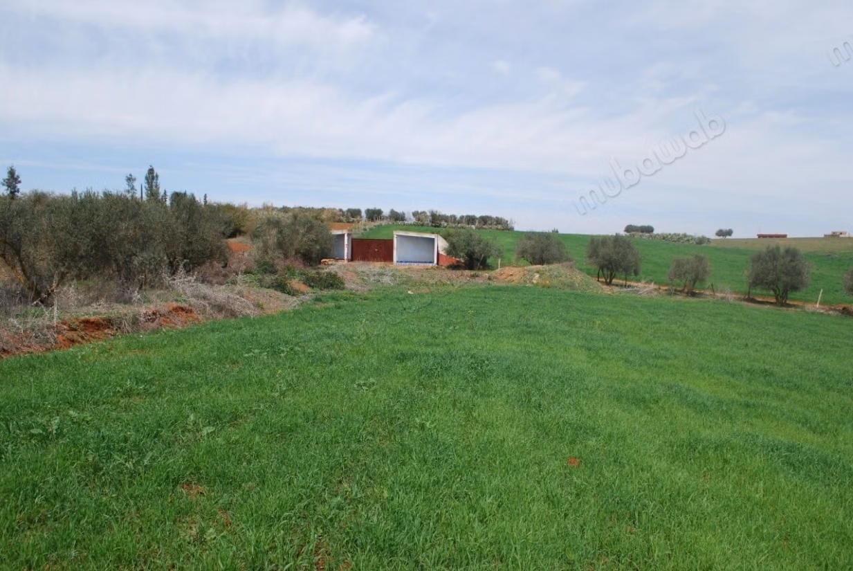 Terrain à vendre. Superficie 57250 m²