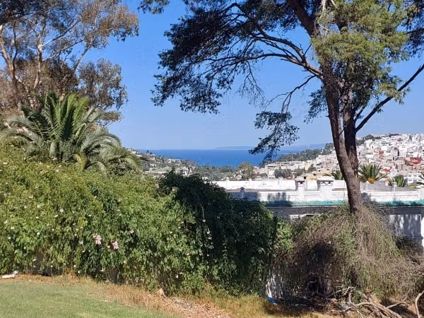 Terrain Titré 1 700 m² Zone Villa Californie Vue M