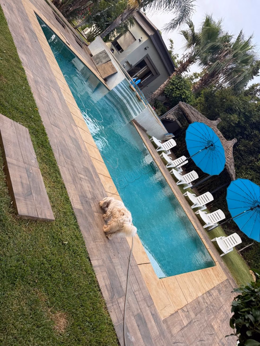 Villa de prestigio en alquiler - a largo plazo