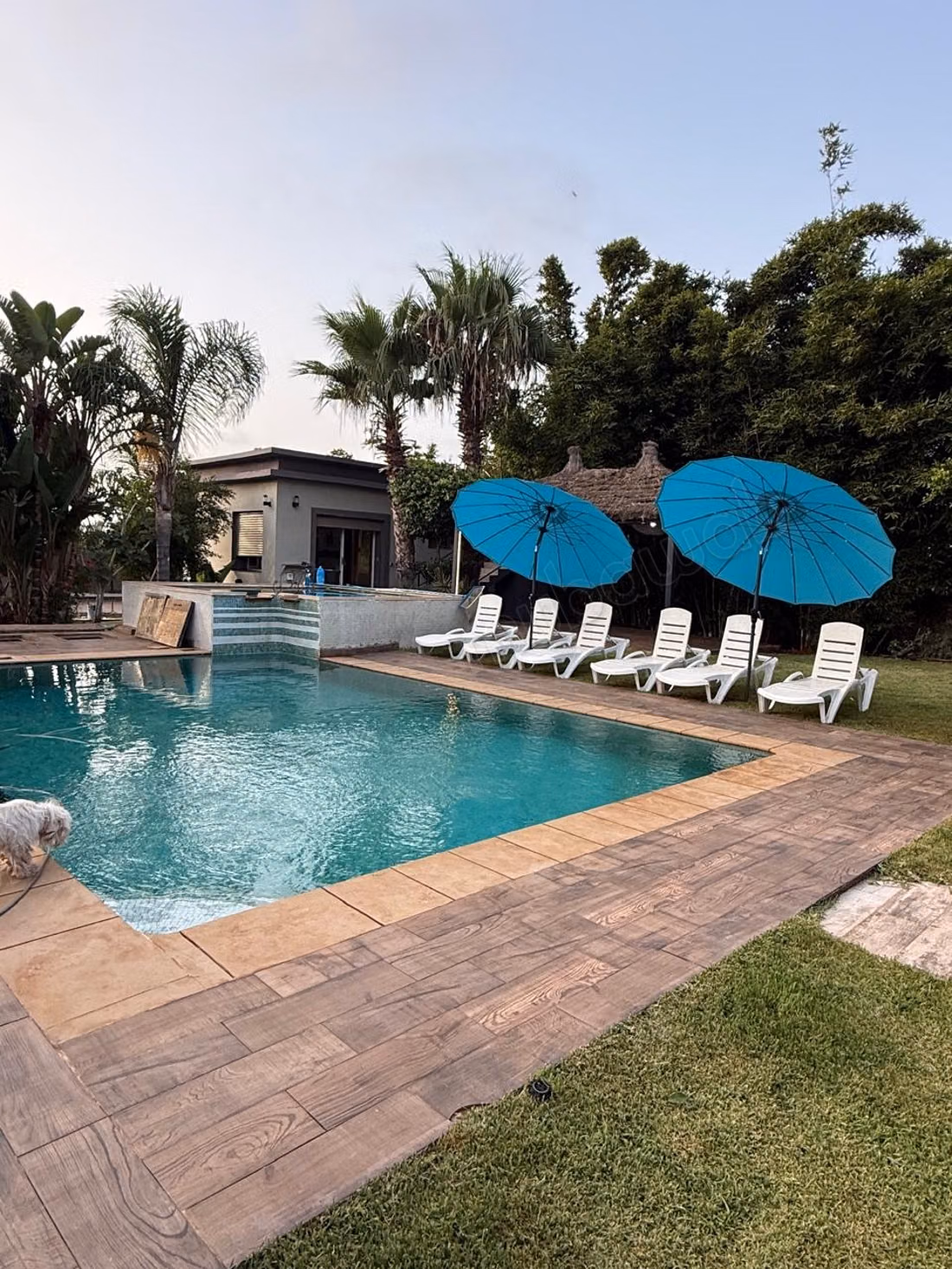 Villa de prestigio en alquiler - a largo plazo