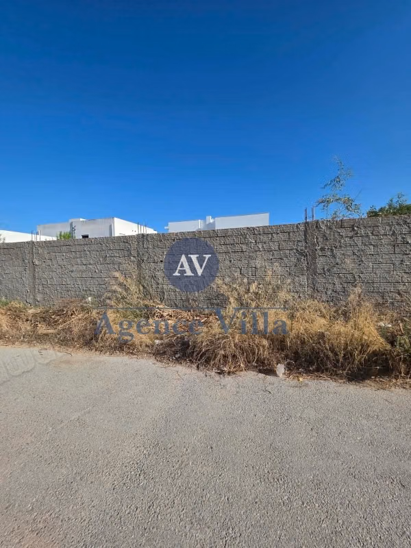 A vendre 3 lots de terrain à la Soukra