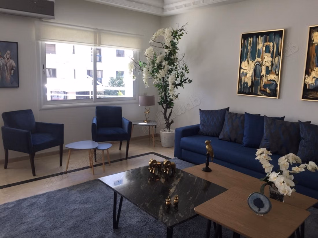 Appartement Meublé avec Cheminée, Racine
